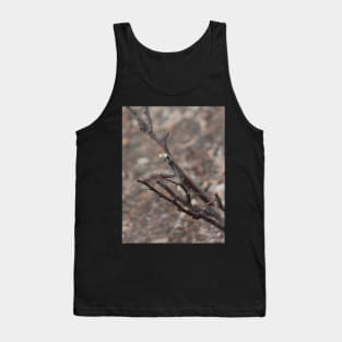 praying mantis Tank Top